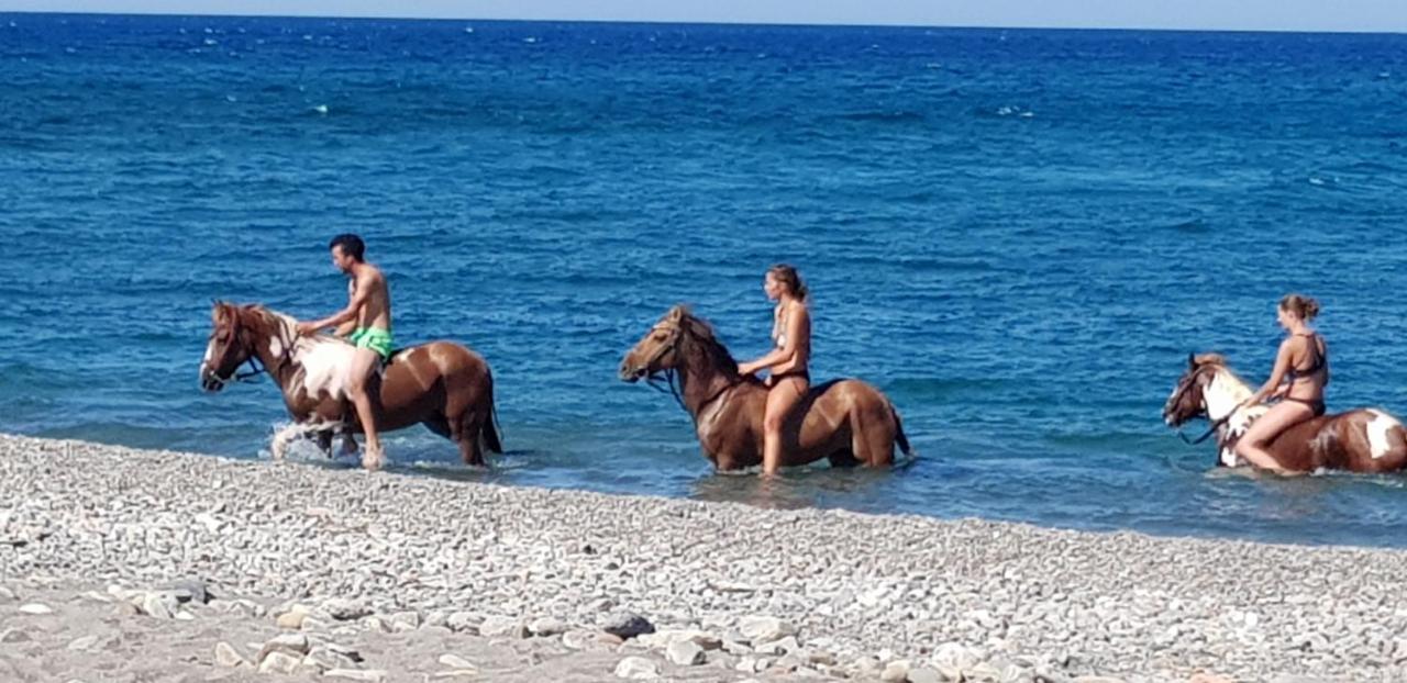 Beach Cottage Tavronitis Zewnętrze zdjęcie